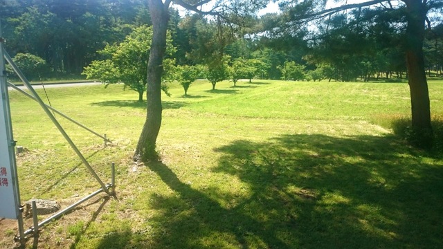 投稿写真4