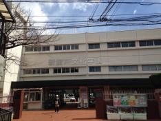 新渡戸文化幼稚園