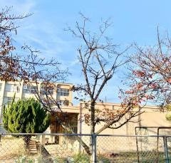 宇治市立北宇治中学校