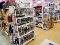ザ・ダイソー　南岩国店