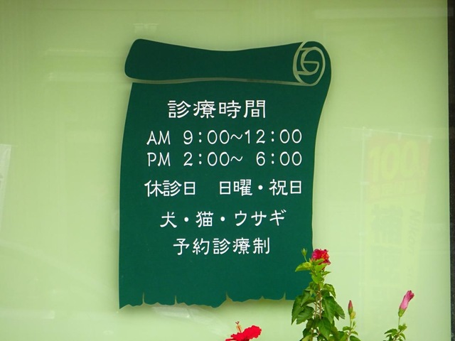 投稿写真8