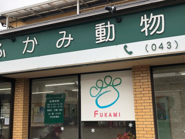 投稿写真6