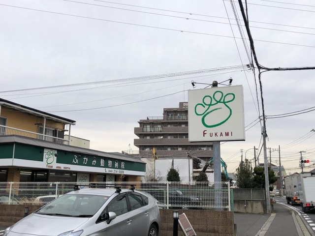 投稿写真5