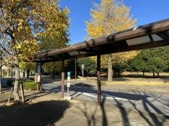 「西の原公園」バス停留所