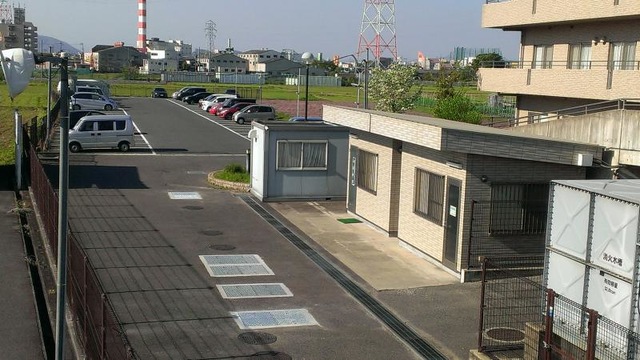 しらかば