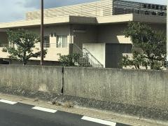 しらかば