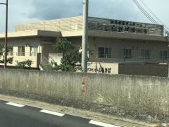 しらかば