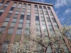 大阪成蹊大学　相川キャンパス