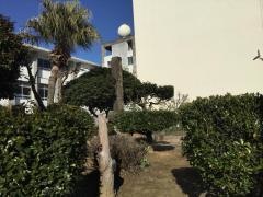 中里小学校