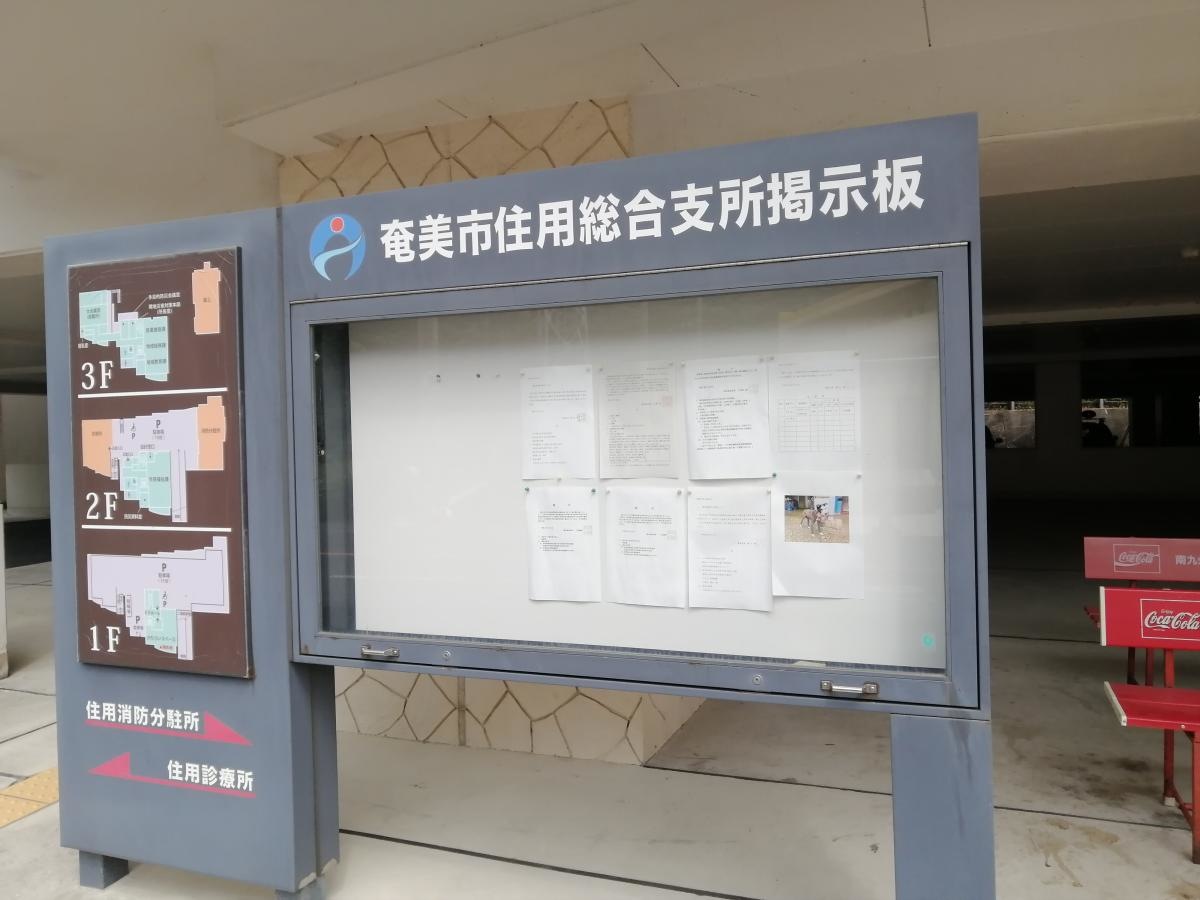 奄美市住用総合支所