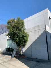 内藤医院