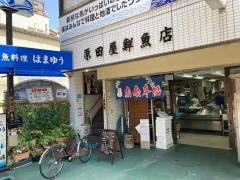 はまゆう