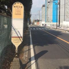 「麻布大学」バス停留所