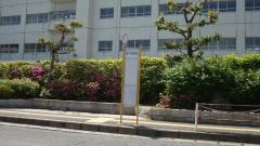 「落合中学校前」バス停留所