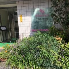 高橋歯科医院