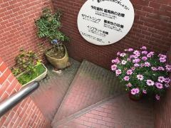 山下歯科