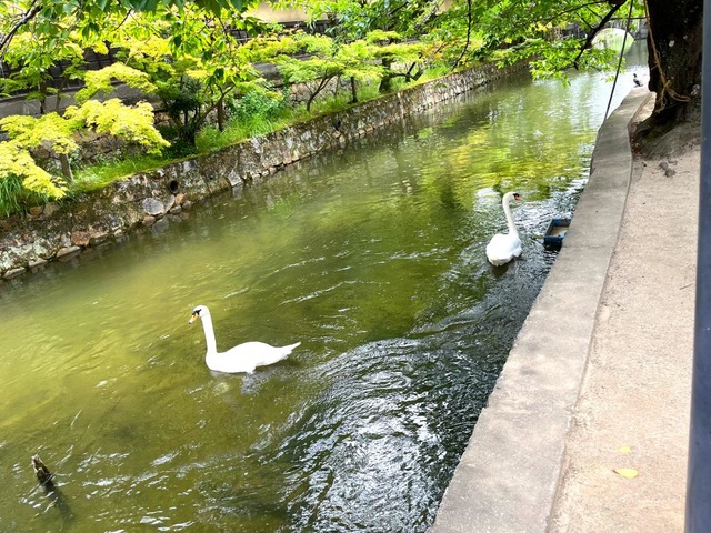 施設写真29