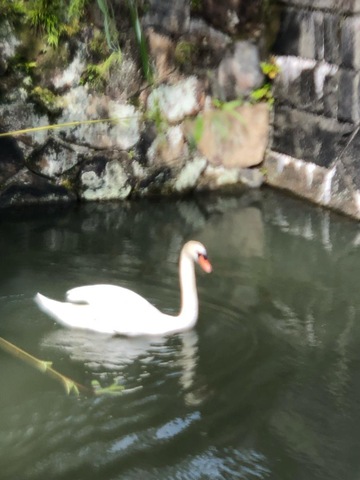 施設写真47