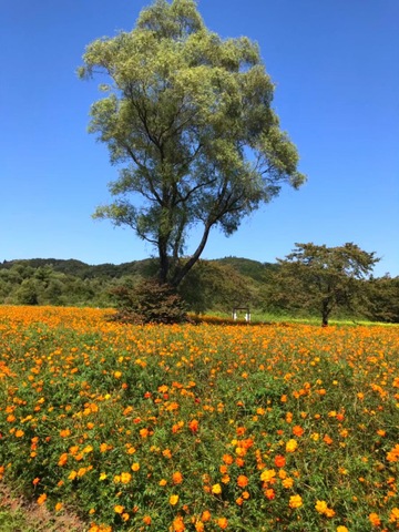 施設写真49