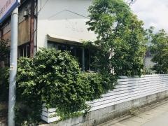 食堂カフェ　いちしな