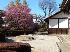 川越城　本丸御殿庭園