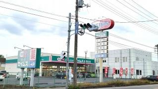ドラッグセイムス　北羽生店