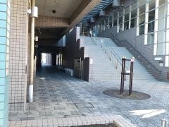 千寿桜小学校