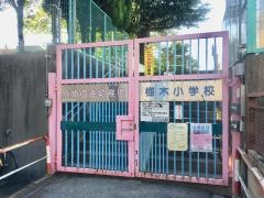 うめのき幼稚園