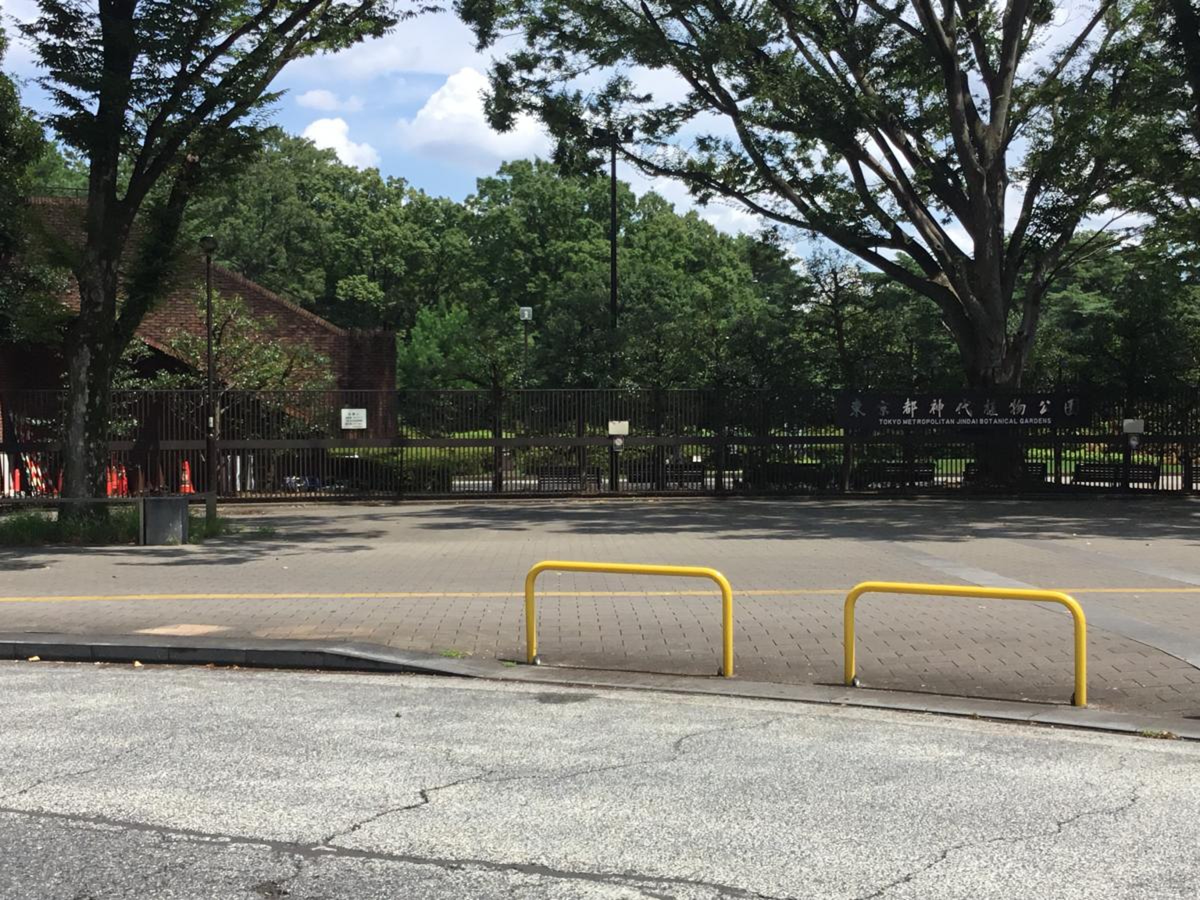 神代 植物 公園 駐 車場
