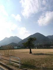 進修小学校