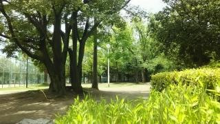 大庄公園