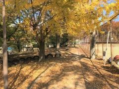 吉島公園