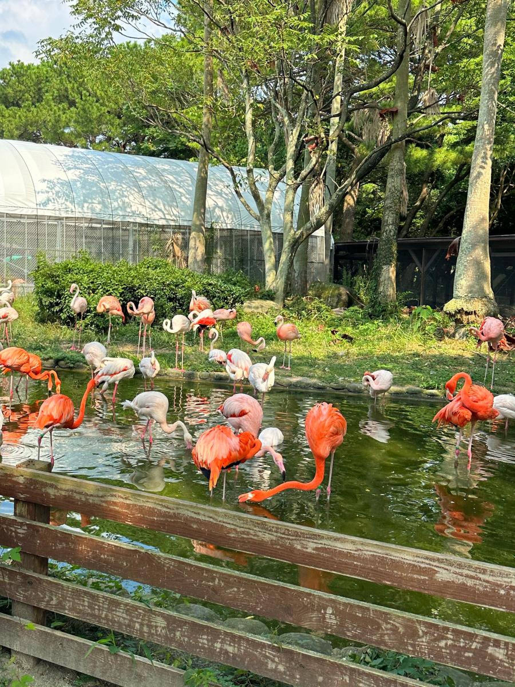 当時のメディア報道・掲載写真