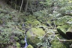 白谷雲水峡