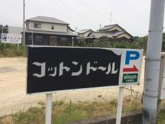 コットンドール