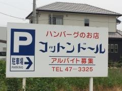 コットンドール