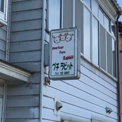 プチラビット