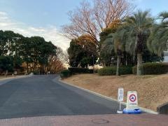 東海大学大学院