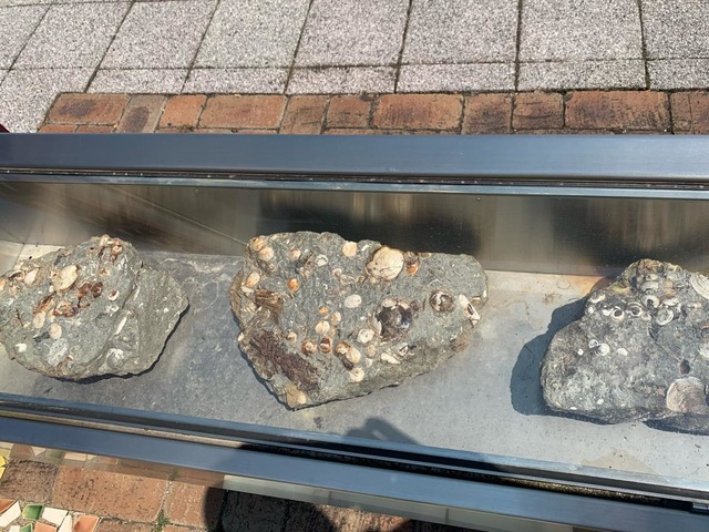 施設写真24