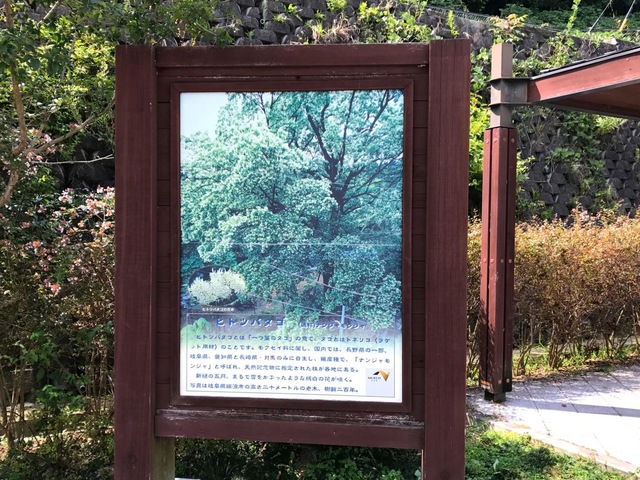 施設写真161