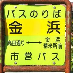 「金浜」バス停留所
