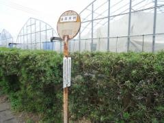 「金田本村」バス停留所