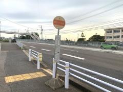 「野見小学校前」バス停留所