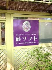 あしかがフラワーパーク