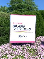 あしかがフラワーパーク