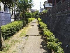 さるすべり緑道