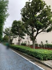 横浜市立港中学校