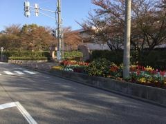 新潟大学附属新潟小学校