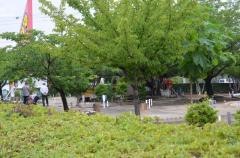 土橋公園