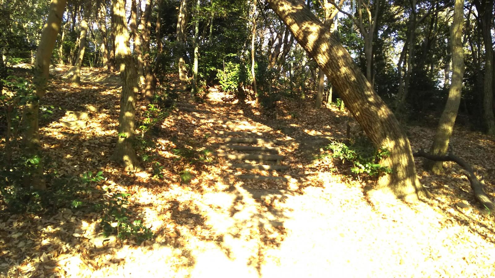 大将ヶ根市民緑地
